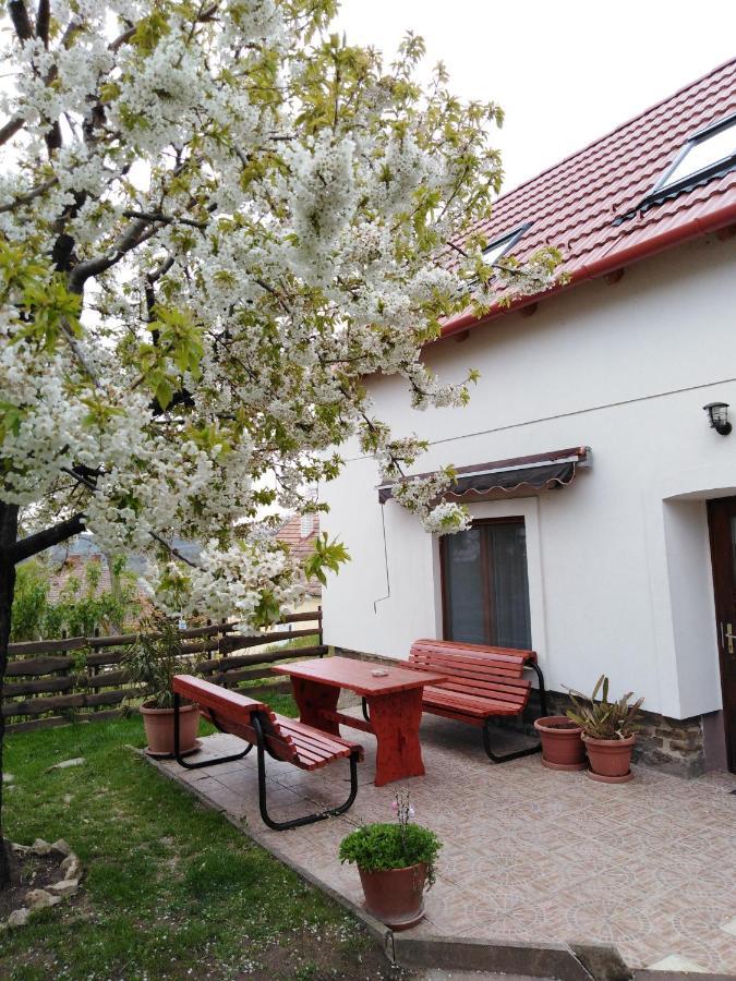 Kossuth Lajos Utca 73 Nabuka Apartment